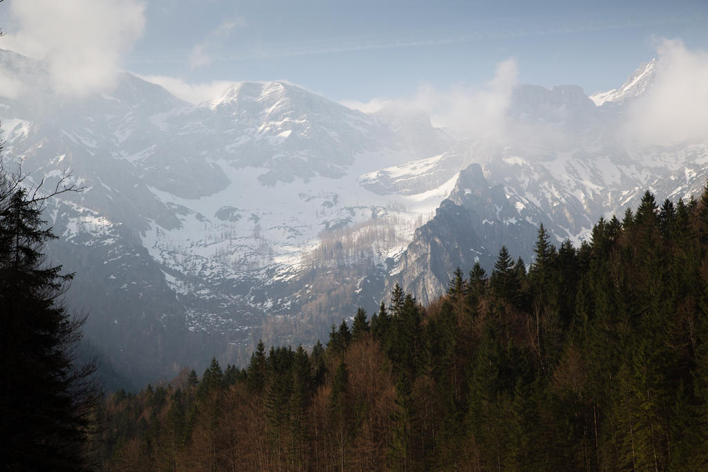 Hirschloser Steyrling Bagian luar foto